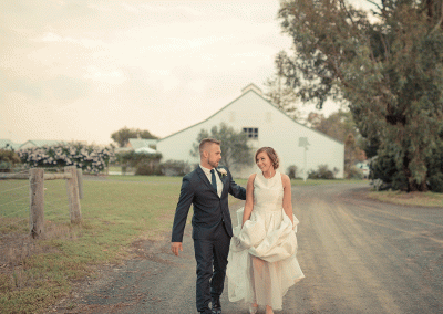 Tree Photo and Video Studio