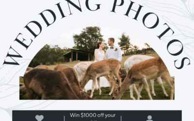 Twin Leaf Weddings – Win 1 of 3 $1000 Vouchers