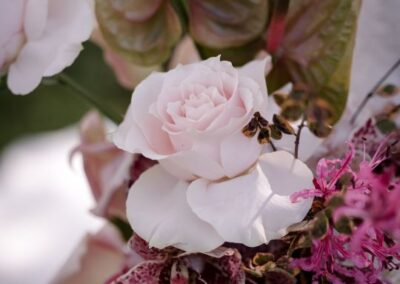 Behind the Choice of a Petal with Flowers by Debbie
