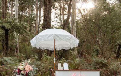Something to Sweeten your Special Day with Yarra Valley Gelato Cart