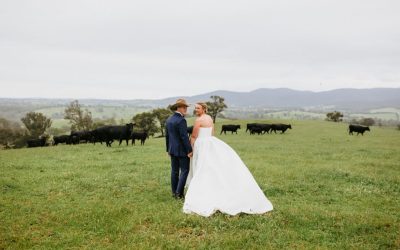 A Touch of Pure Country Charm and Heart